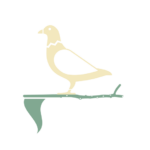 Cream bird (transparent bg) 590x541